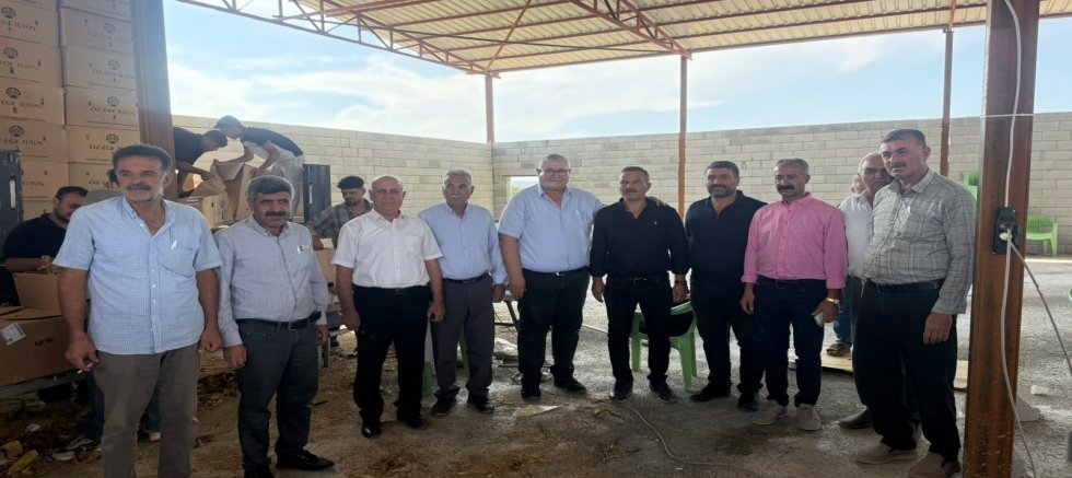 ADIYAMAN DA TÜTÜN ALIMI SANCILI BAŞLADI 