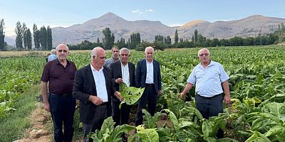 DOLU YAĞIŞI TÜTÜNE ZARAR VERDİ