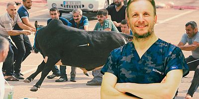 “İŞİ PROFESYONELLERE BIRAKMAK EN ÖNEMLİ TEDBİRDİR”