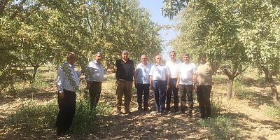 ZİRAAT ODALARI TARIMSAL SORUNLAR İÇİN SİNCİK’TE TOPLANDI